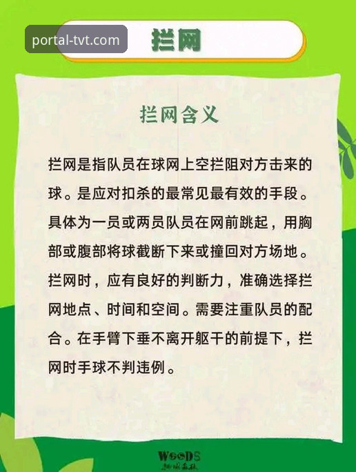 TVT体育娱乐官方下载 TVT体育平台官方下载实用指南:资深用户分享必备知识与避坑技巧